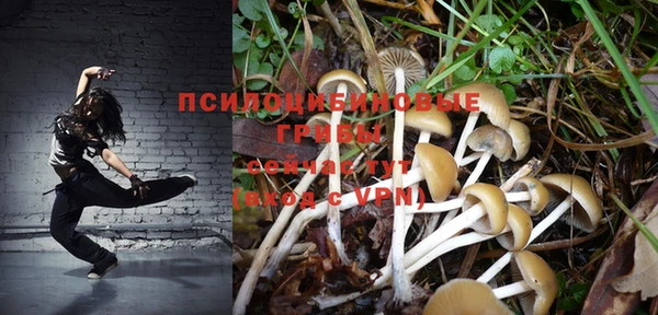 соль курить ск Россошь
